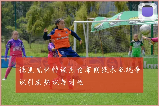 德里克怀特谈杰伦布朗技术犯规争议引发热议与讨论