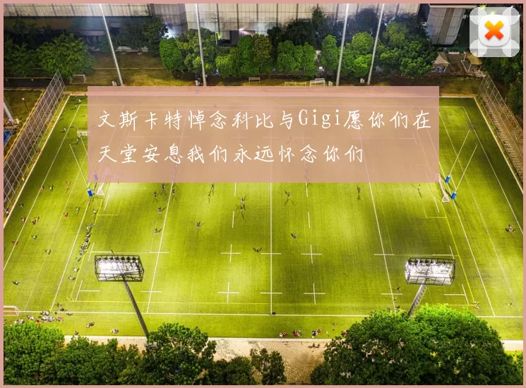文斯卡特悼念科比与Gigi愿你们在天堂安息我们永远怀念你们