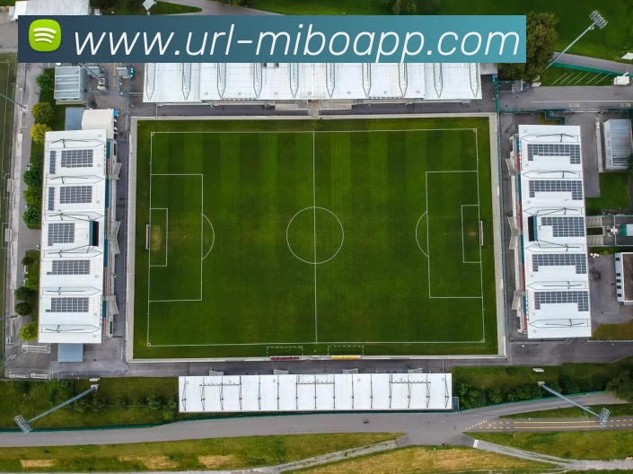 多媒体互动体验